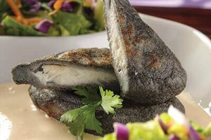 Pescado en costra de maíz con salsa de requesón