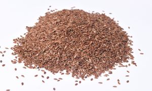 Propiedades del alpiste que quizá no conocías