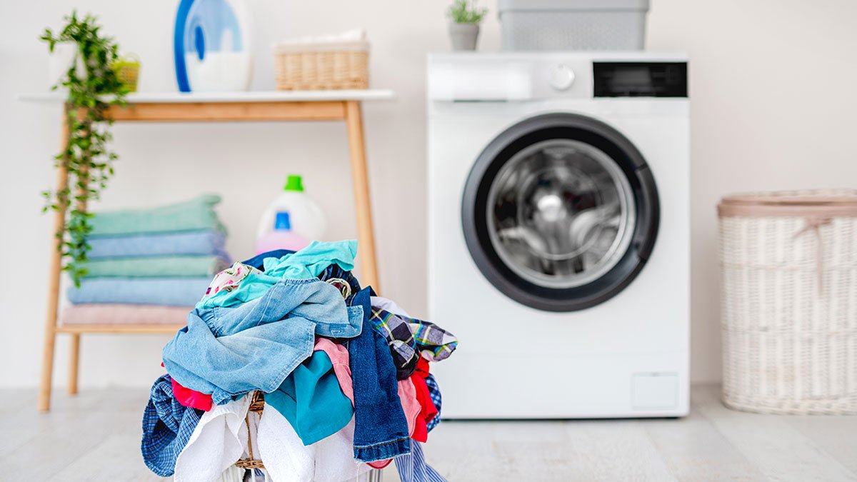 Lavado de prendas de vestir en agua y lavado en seco de prendas de vestir