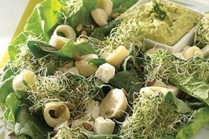 Ensalada verde
