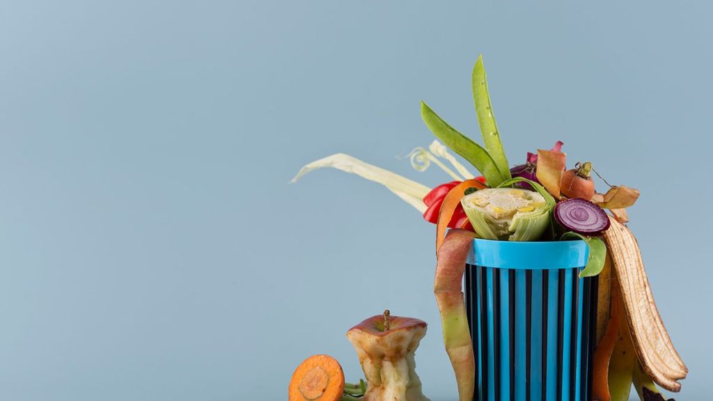 Separación de basura