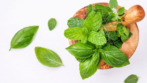 El lenguaje secreto de la cocina