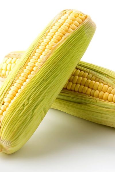 Alimentos mexicanos que protegen nuestros huesos