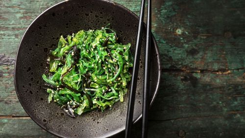 ¿Qué son las algas kelp?