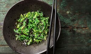 ¿Qué son las algas kelp?