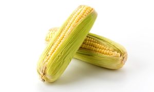 Alimentos mexicanos que protegen nuestros huesos