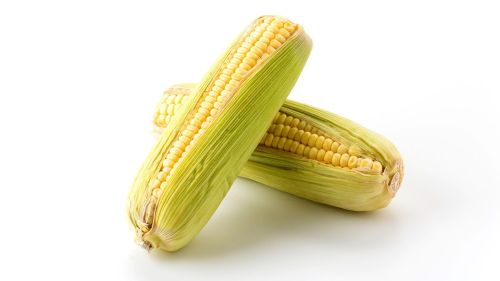 Alimentos mexicanos que protegen nuestros huesos