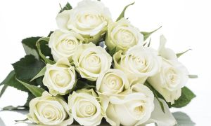 Manejando las pérdidas en la vida