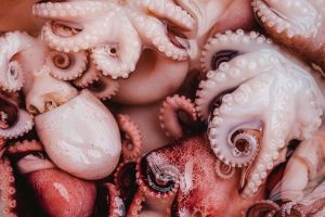 Los beneficios de comer pulpo