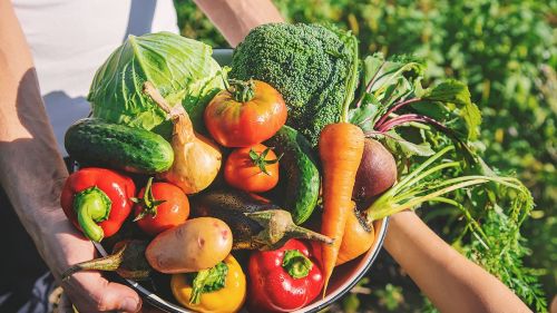 ¿Qué son los productos orgánicos?