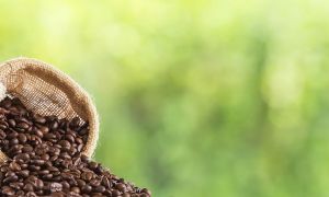 Historia sobre el origen del café