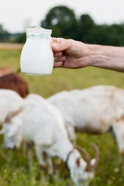 En su nombre llevan el sabor: Las “glorias”