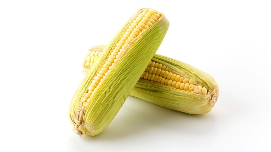 Alimentos mexicanos que protegen nuestros huesos