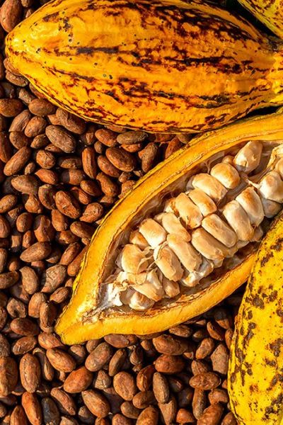 Refrescante y energizante