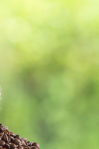 Historia sobre el origen del café