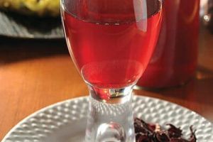 Bebida de Jamaica especiada