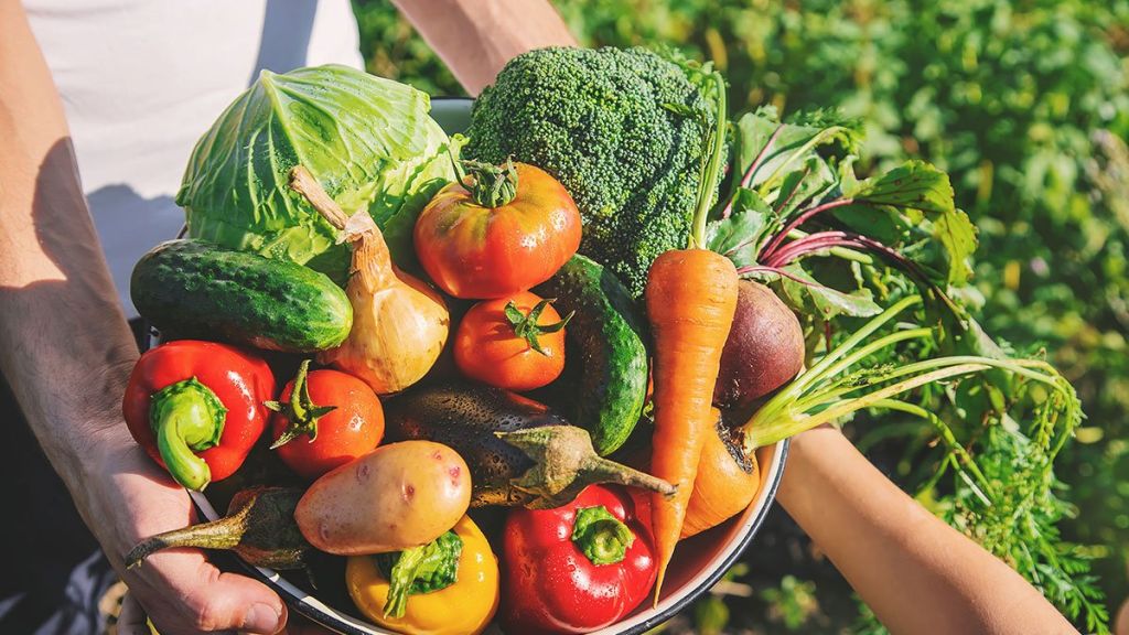 ¿Qué son los productos orgánicos?