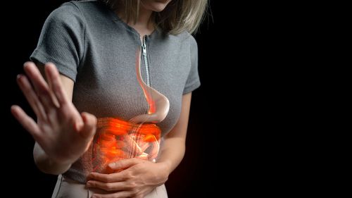 Comprendiendo nuestros procesos digestivos y el papel de la microbiota en el bienestar