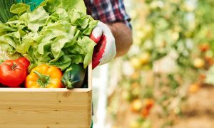 Tips para una alimentación saludable que cuide el medio ambiente