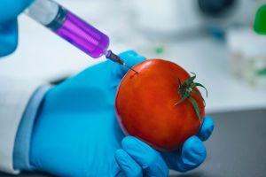 La realidad de los productos transgénicos