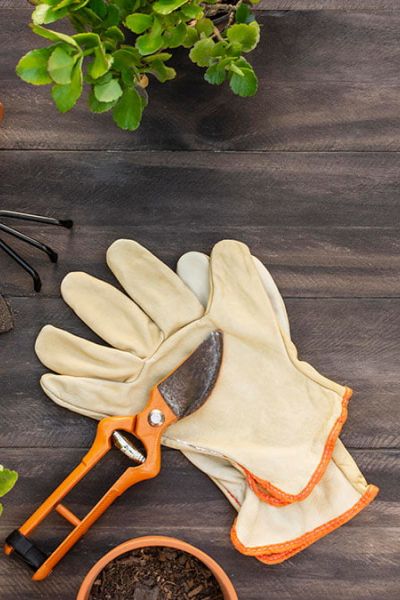 ¿Listos? Cómo iniciar nuestro huerto hidropónico.(1ra. parte)