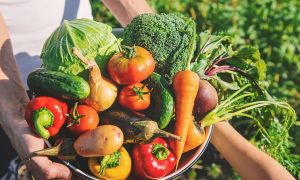 ¿Qué son los productos orgánicos?