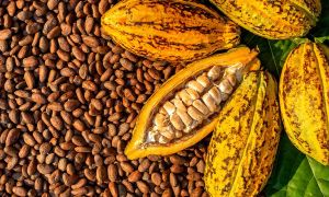 Refrescante y energizante