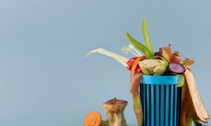 Separación de basura