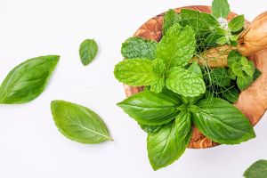 El lenguaje secreto de la cocina