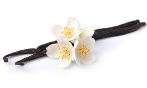 La vainilla de Papantla