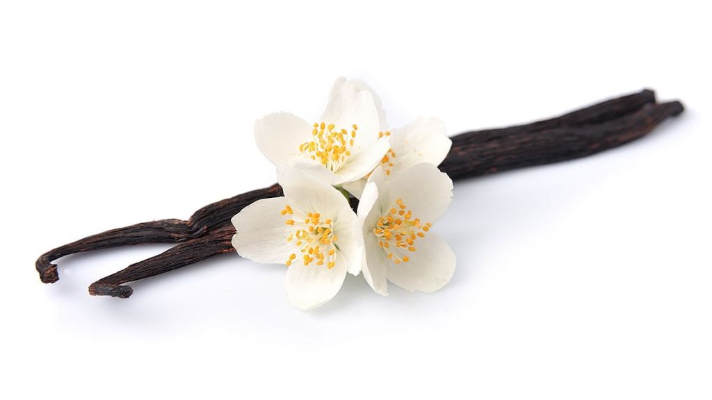 La vainilla de Papantla