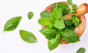 El lenguaje secreto de la cocina