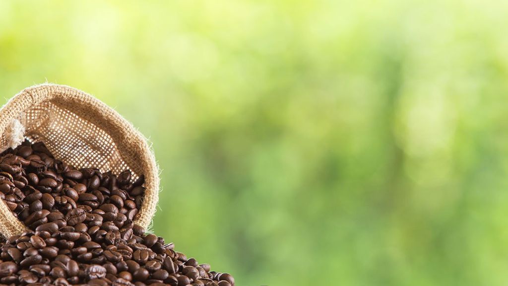 Historia sobre el origen del café