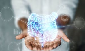 Comprendiendo nuestros procesos digestivos y el papel de la microbiota y su relación con la obesidad