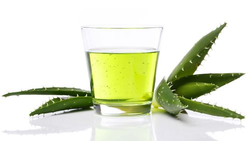 Controla tu glucosa con plantas medicinales.