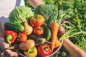 ¿Qué son los productos orgánicos?