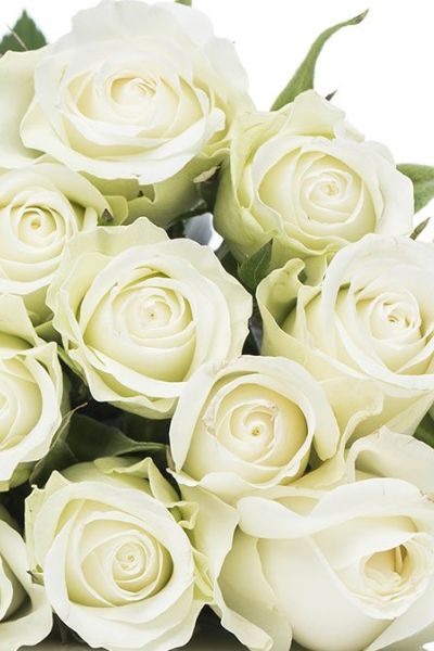 Manejando las pérdidas en la vida