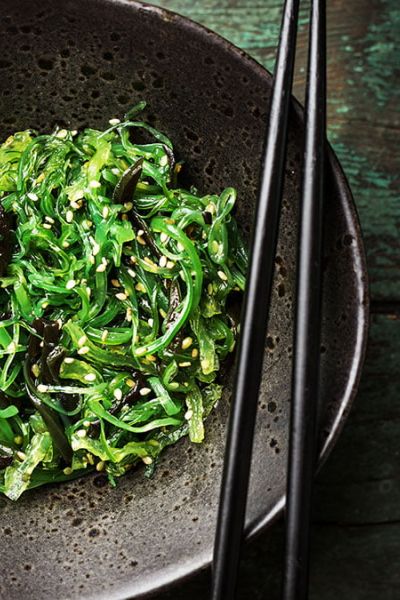 ¿Qué son las algas kelp?