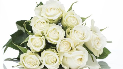 Manejando las pérdidas en la vida