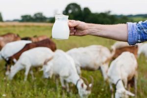 En su nombre llevan el sabor: Las “glorias”