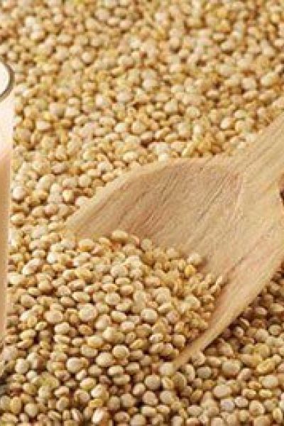 Leche de ajonjolí para bajar de peso