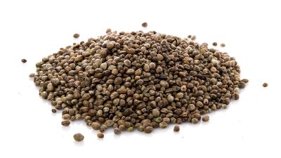 El hemp o cáñamo