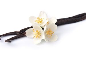 La vainilla de Papantla