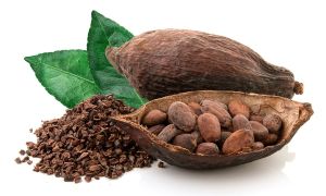 Cacao