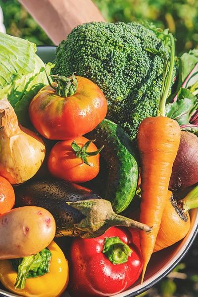 ¿Qué son los productos orgánicos?