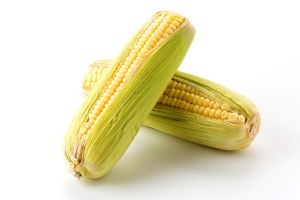 Alimentos mexicanos que protegen nuestros huesos