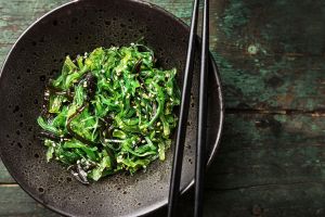 ¿Qué son las algas kelp?