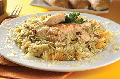 Pasta con salmón y salsa de nuez con chipotle