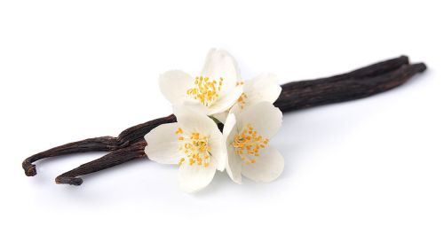 La vainilla de Papantla