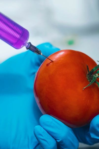 La realidad de los productos transgénicos